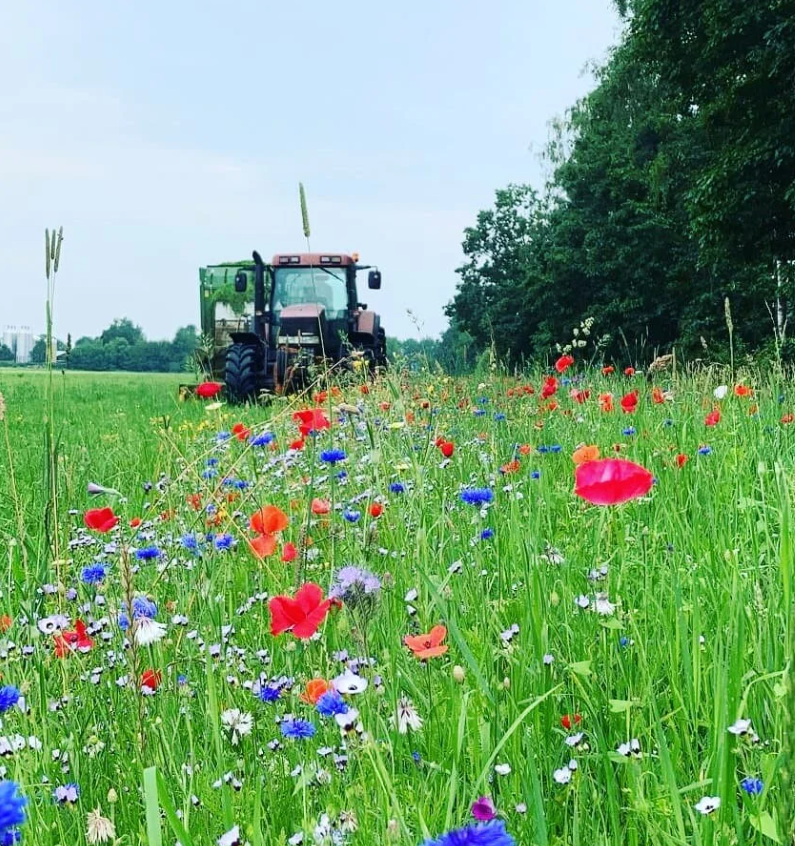 Agrarisch Natuurbeheer