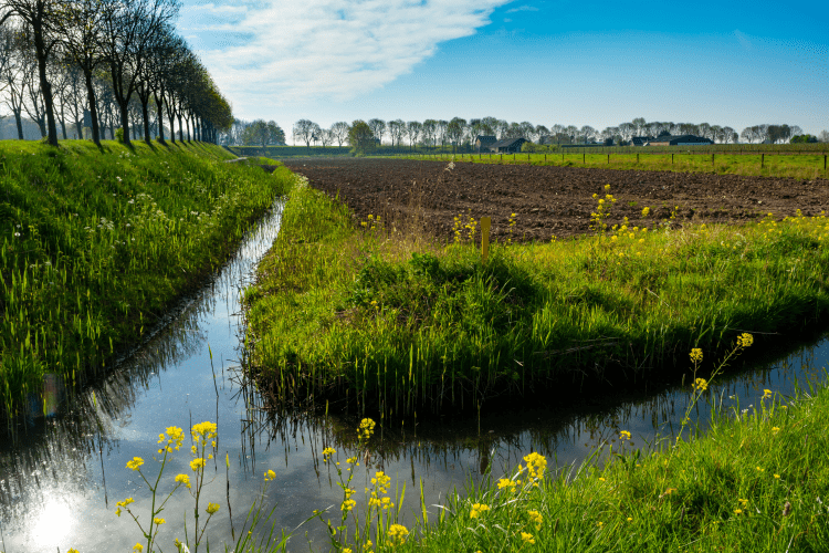 Veranderend grondgebruik door stoppende boeren
