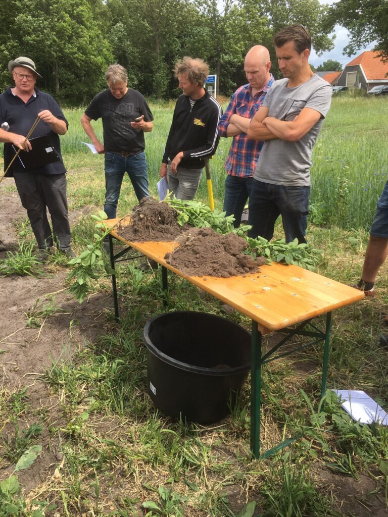 Regeneratieve landbouw en groenbemesters in de praktijk