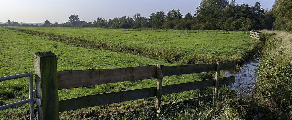 Stimuland proeftuintrekker VIPNL