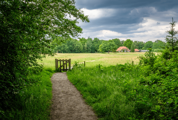 Stimuland vacature HR-adviseur