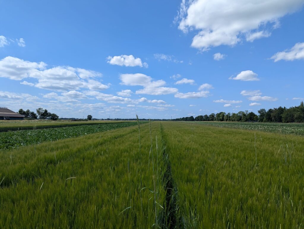 Regeneratieve landbouw