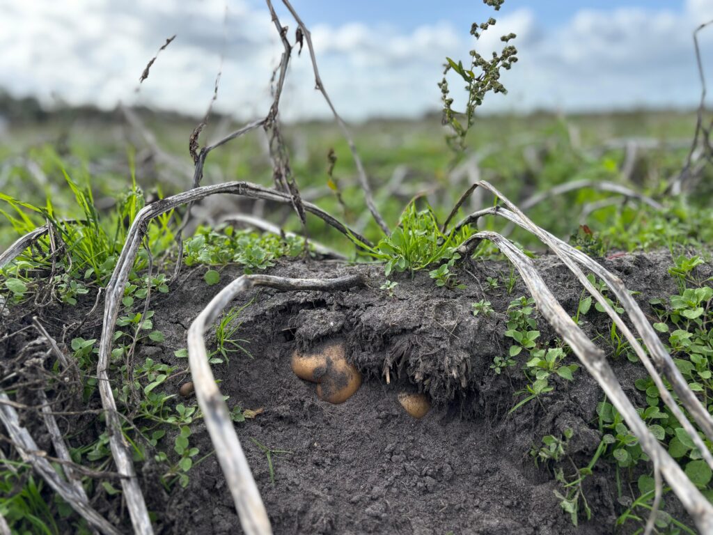 Regeneratieve landbouw in de praktijk